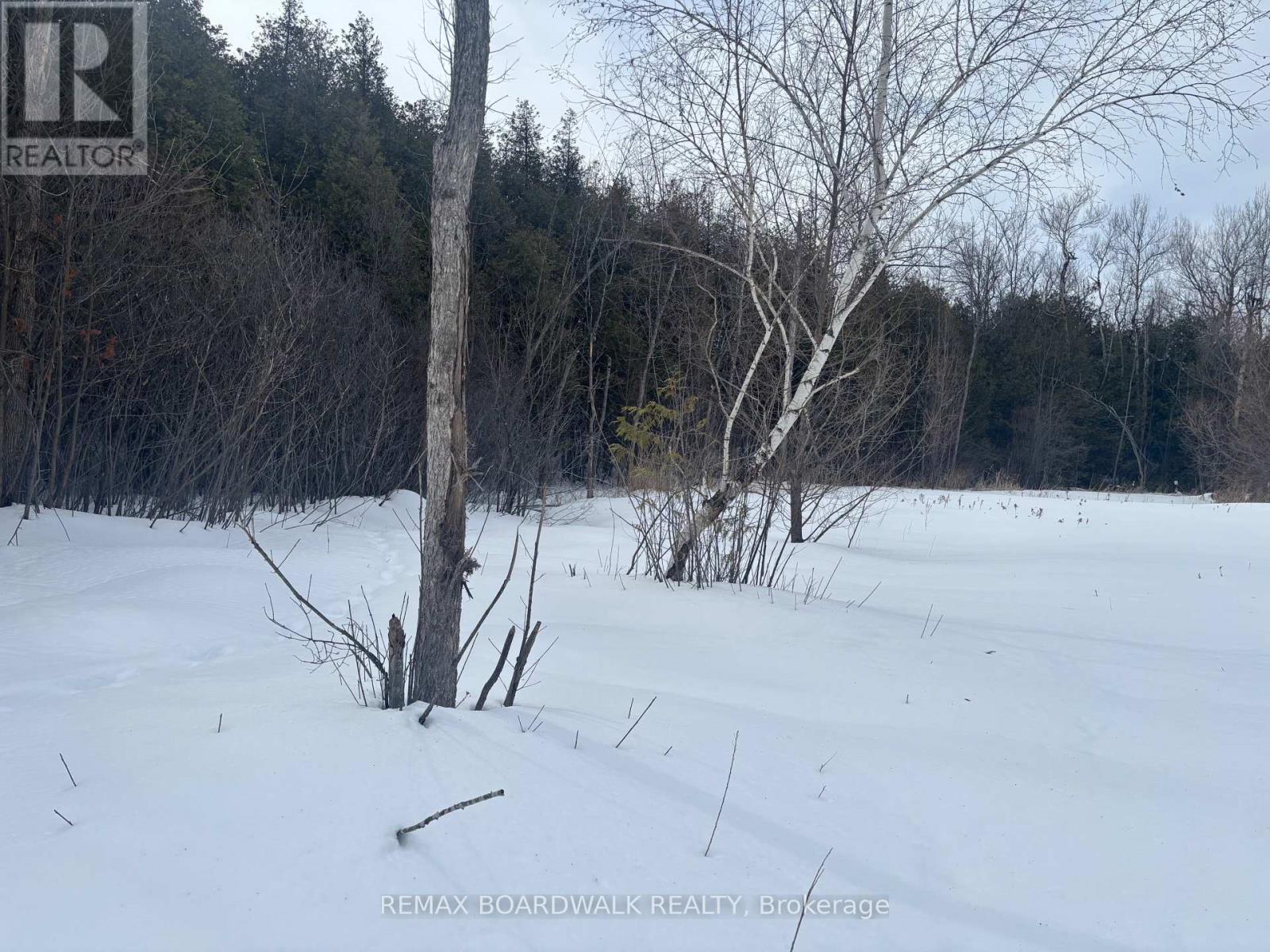 1578 Ramar Lane, Ottawa, Ontario  K0A 2P0 - Photo 6 - X12832650