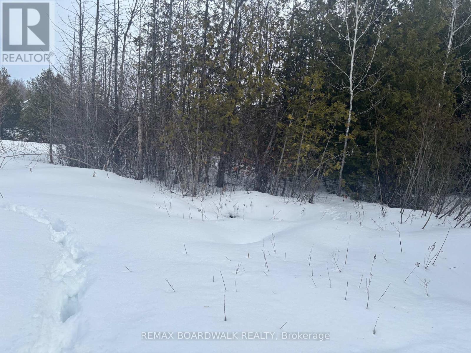 1578 Ramar Lane, Ottawa, Ontario  K0A 2P0 - Photo 7 - X12832650