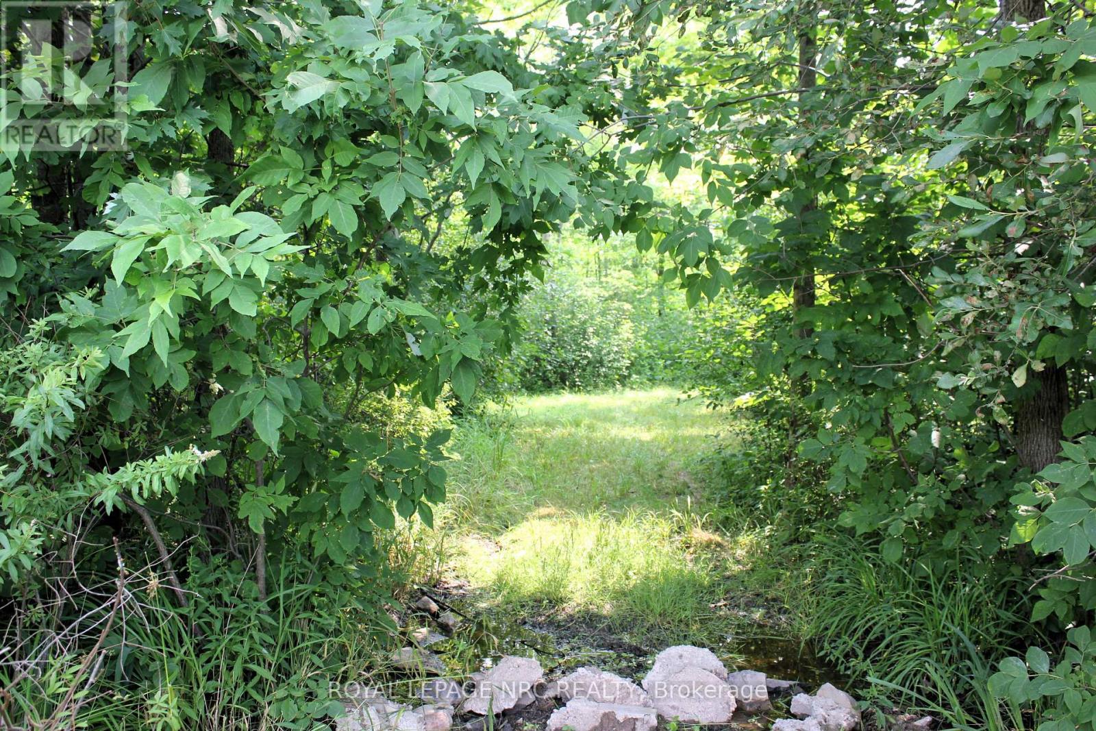 4511 Miller Road, Port Colborne, Ontario  L3B 5N7 - Photo 25 - X12832608