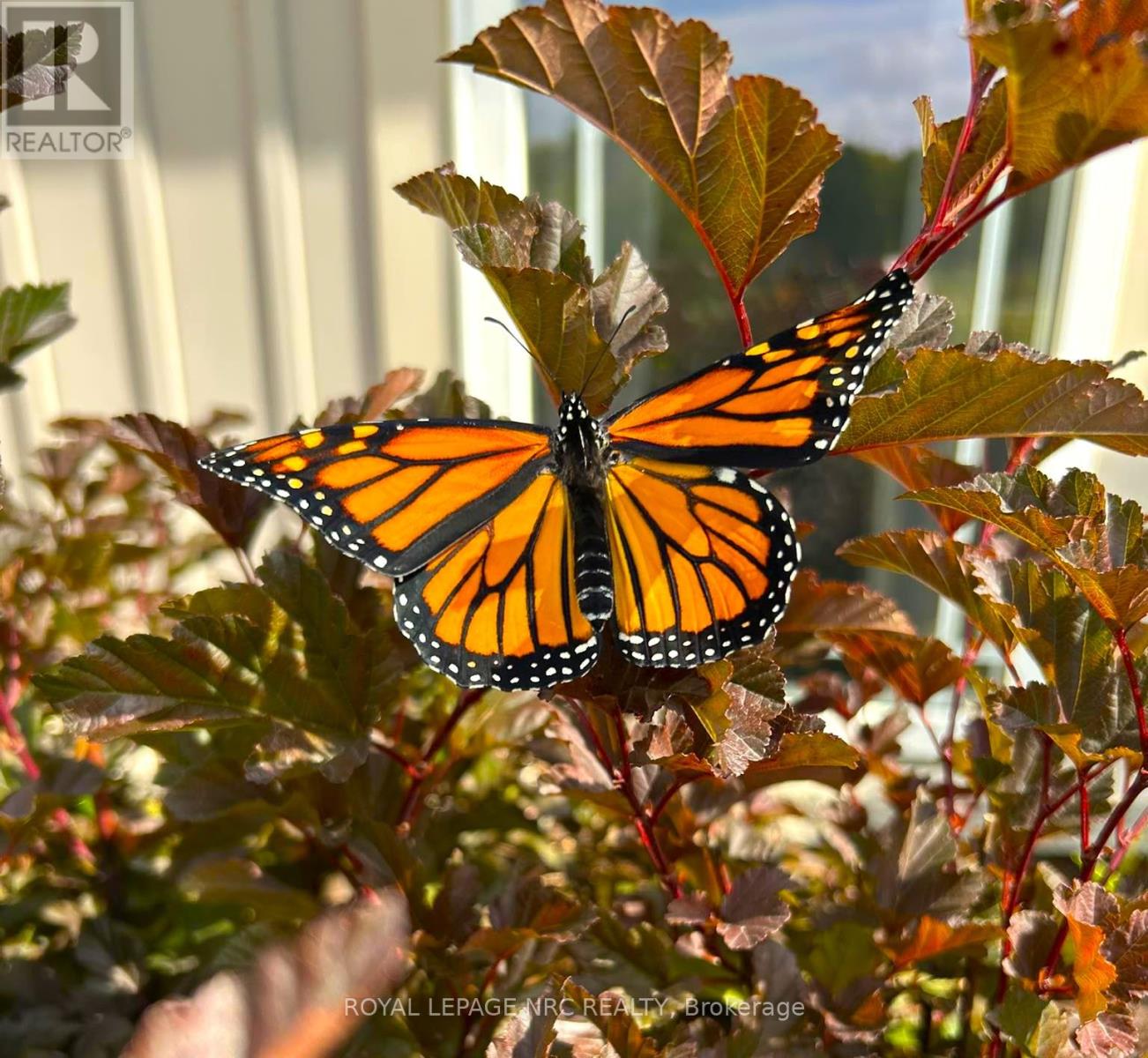 4511 Miller Road, Port Colborne, Ontario  L3B 5N7 - Photo 26 - X12832608
