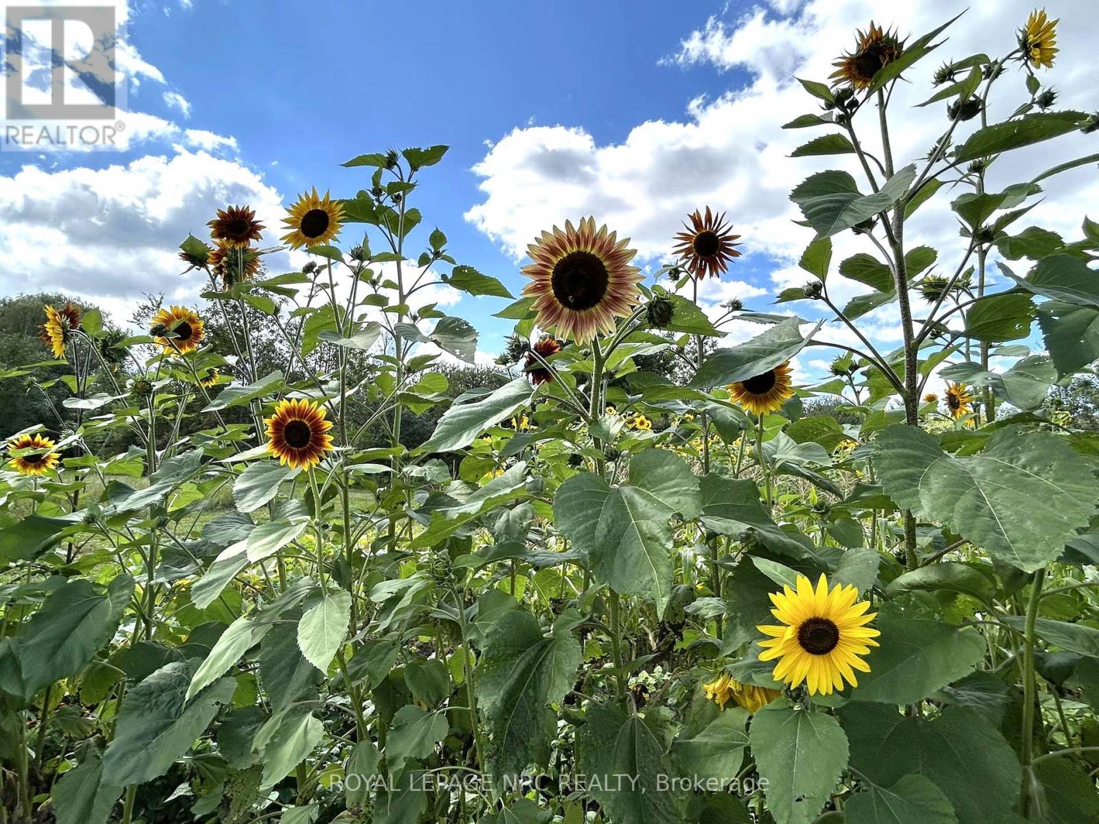 4511 Miller Road, Port Colborne, Ontario  L3B 5N7 - Photo 27 - X12832608