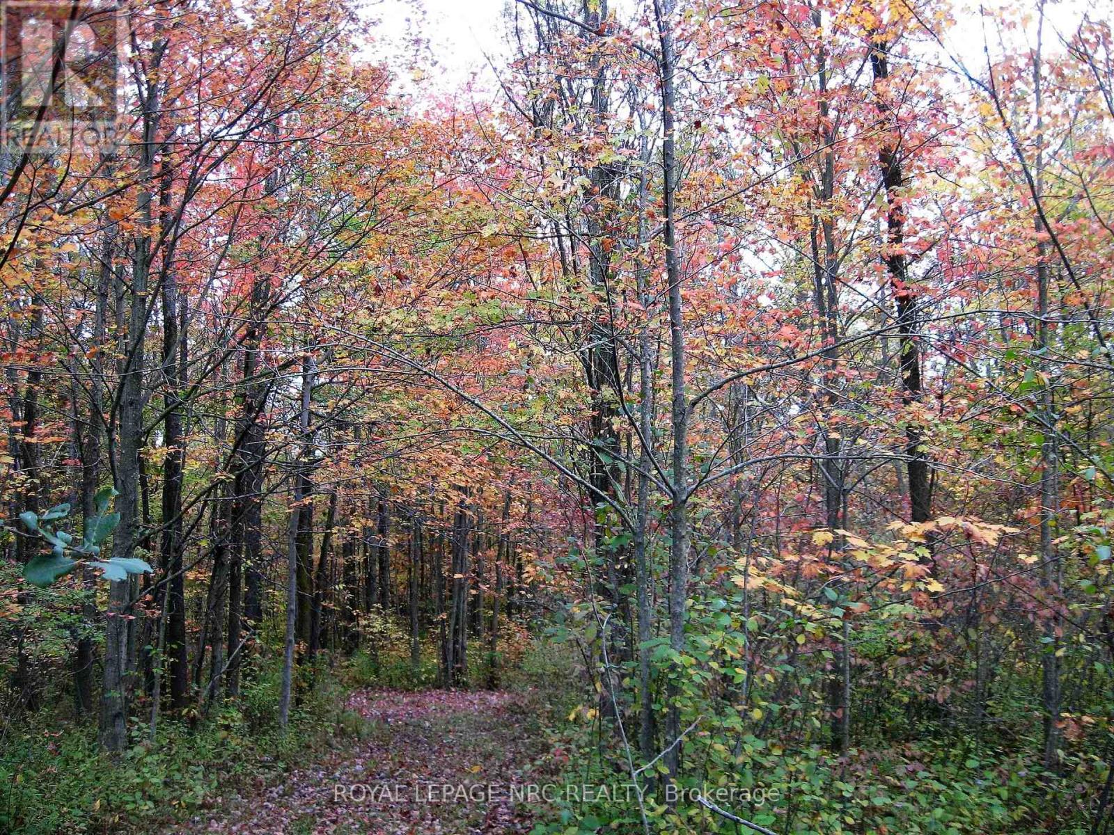 4511 Miller Road, Port Colborne, Ontario  L3B 5N7 - Photo 28 - X12832608