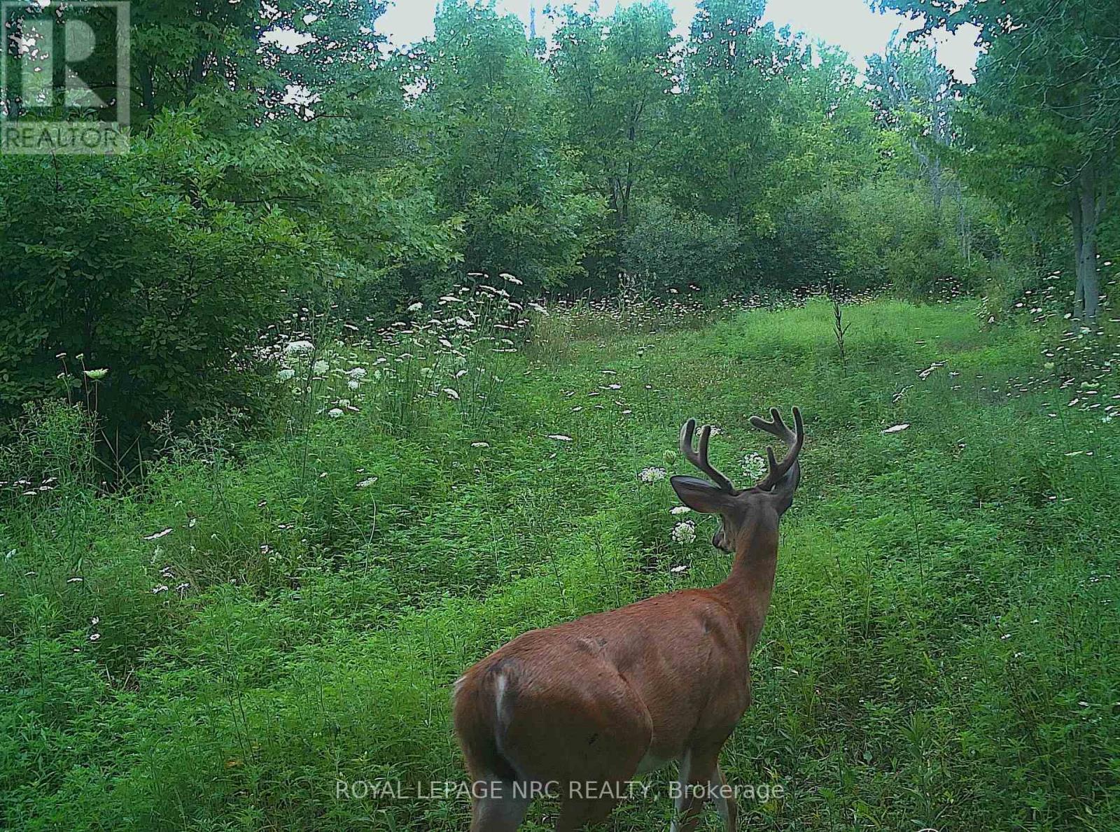 4511 Miller Road, Port Colborne, Ontario  L3B 5N7 - Photo 29 - X12832608