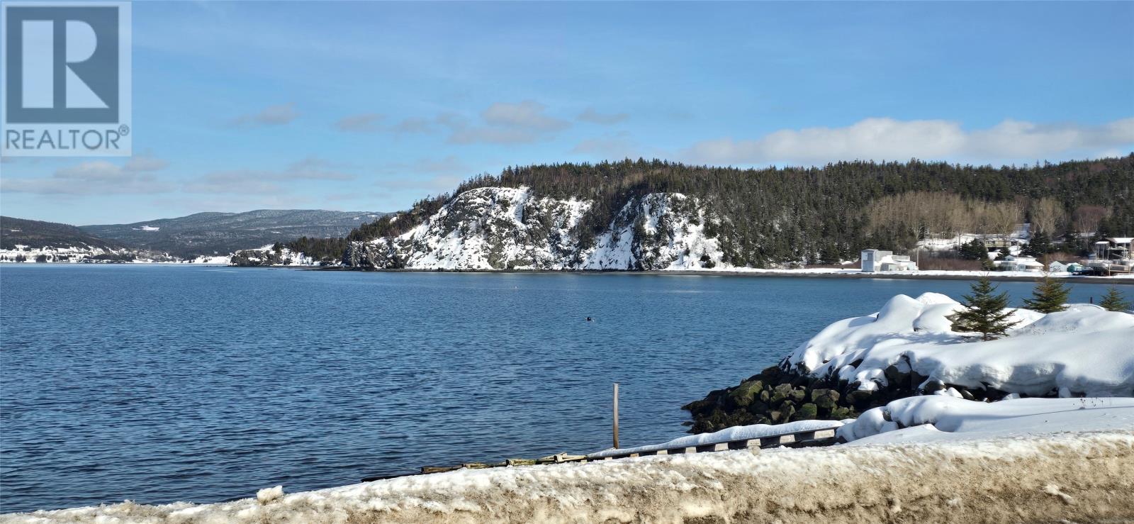 1001 Main Street, Frenchman's Cove, Newfoundland & Labrador  A0L 1E0 - Photo 27 - 1294763