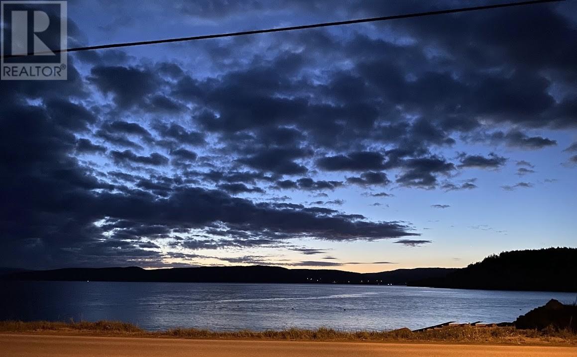 1001 Main Street, Frenchman's Cove, Newfoundland & Labrador  A0L 1E0 - Photo 30 - 1294763