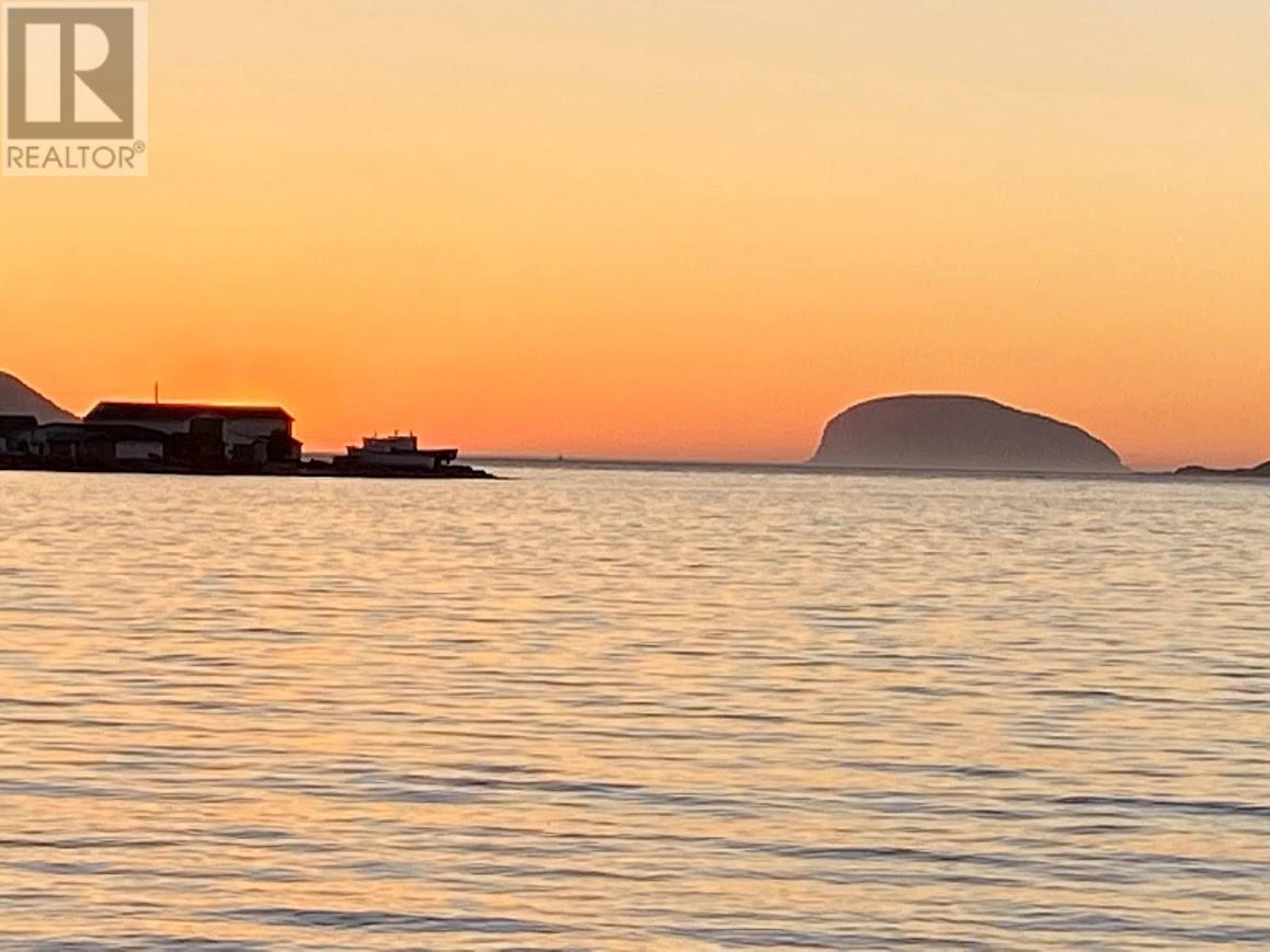 1001 Main Street, Frenchman's Cove, Newfoundland & Labrador  A0L 1E0 - Photo 31 - 1294763