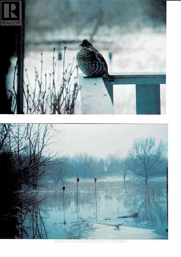 497 Main Street, Brock, Ontario  L0K 1A0 - Photo 48 - N12832594