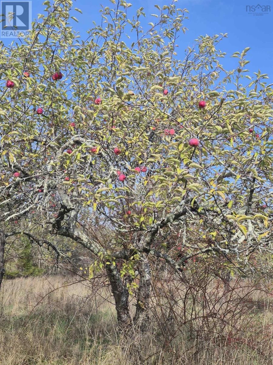 Lot 2025 Clarence Road, Central Clarence, Nova Scotia  B0S 1M0 - Photo 10 - 202528165