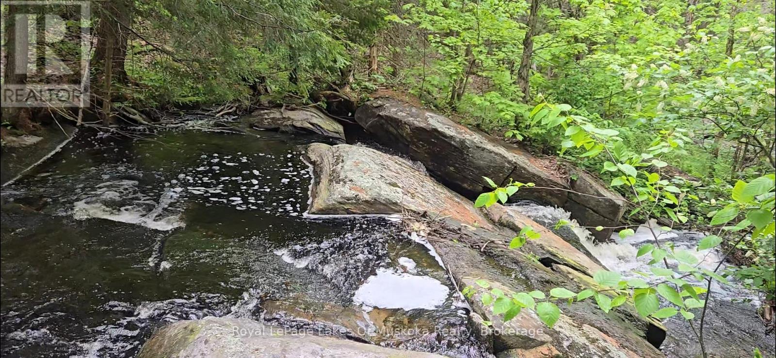 214 North Lancelot Road, Huntsville, Ontario  P0B 1M0 - Photo 46 - X12832716