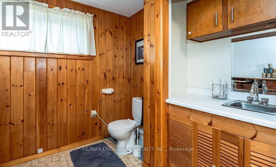 9910 Morning Glory Road, Georgina, Ontario  L0E 1N0 - Photo 19 - N12832844