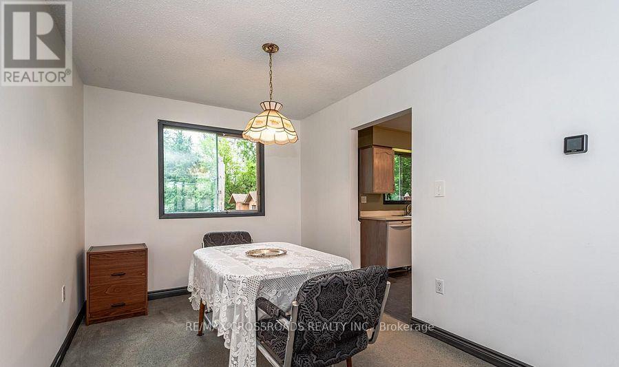 9910 Morning Glory Road, Georgina, Ontario  L0E 1N0 - Photo 7 - N12832844