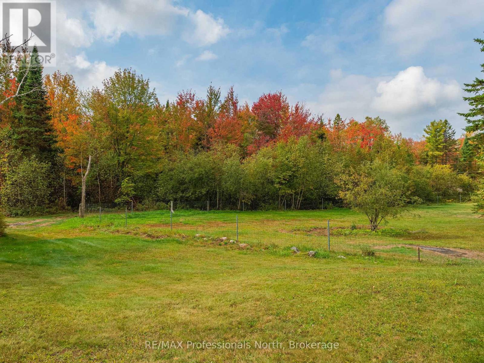 1110 Sedgwick Road, Minden Hills, Ontario  K0M 2K0 - Photo 31 - X12832960