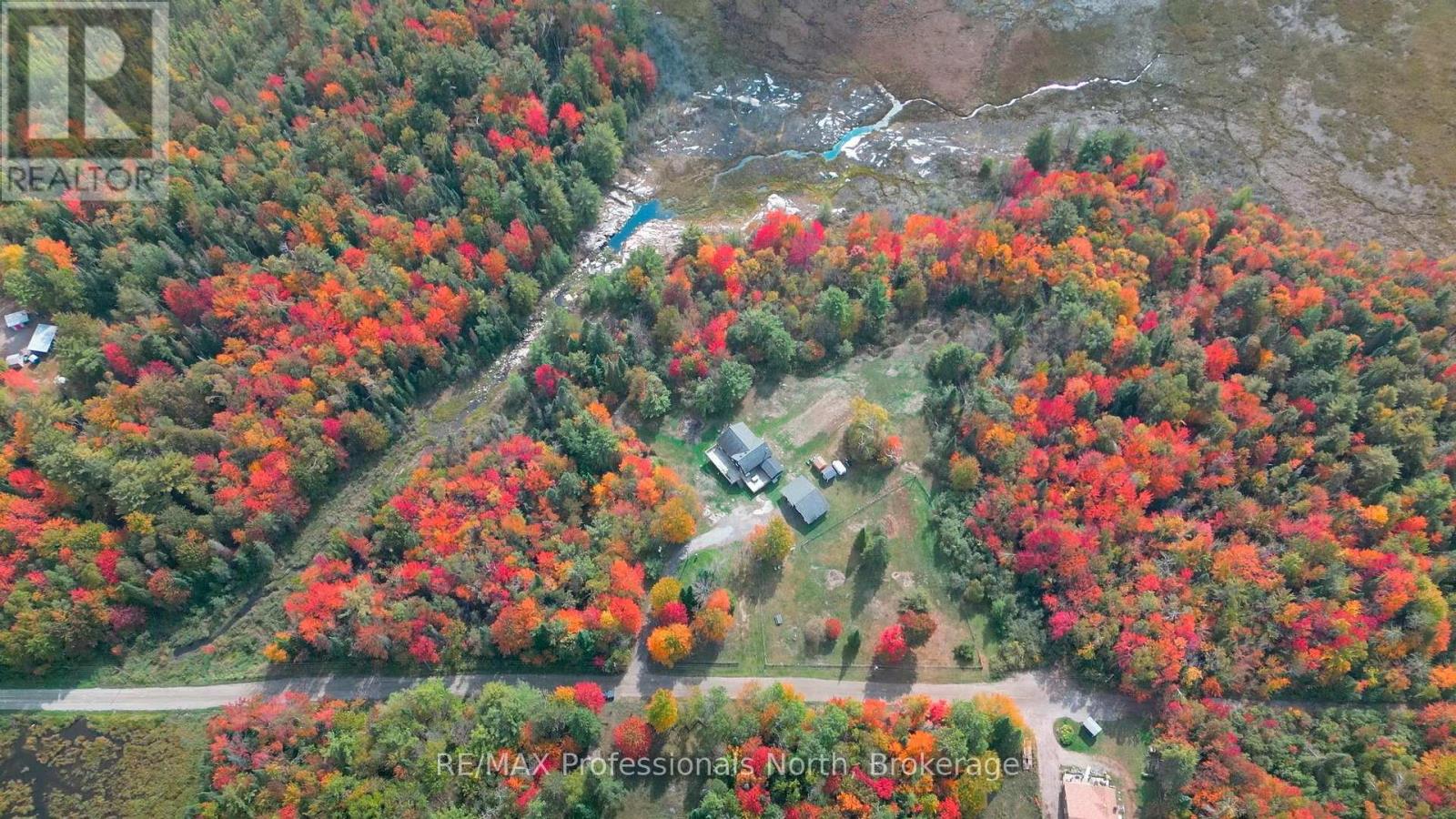 1110 Sedgwick Road, Minden Hills, Ontario  K0M 2K0 - Photo 41 - X12832960