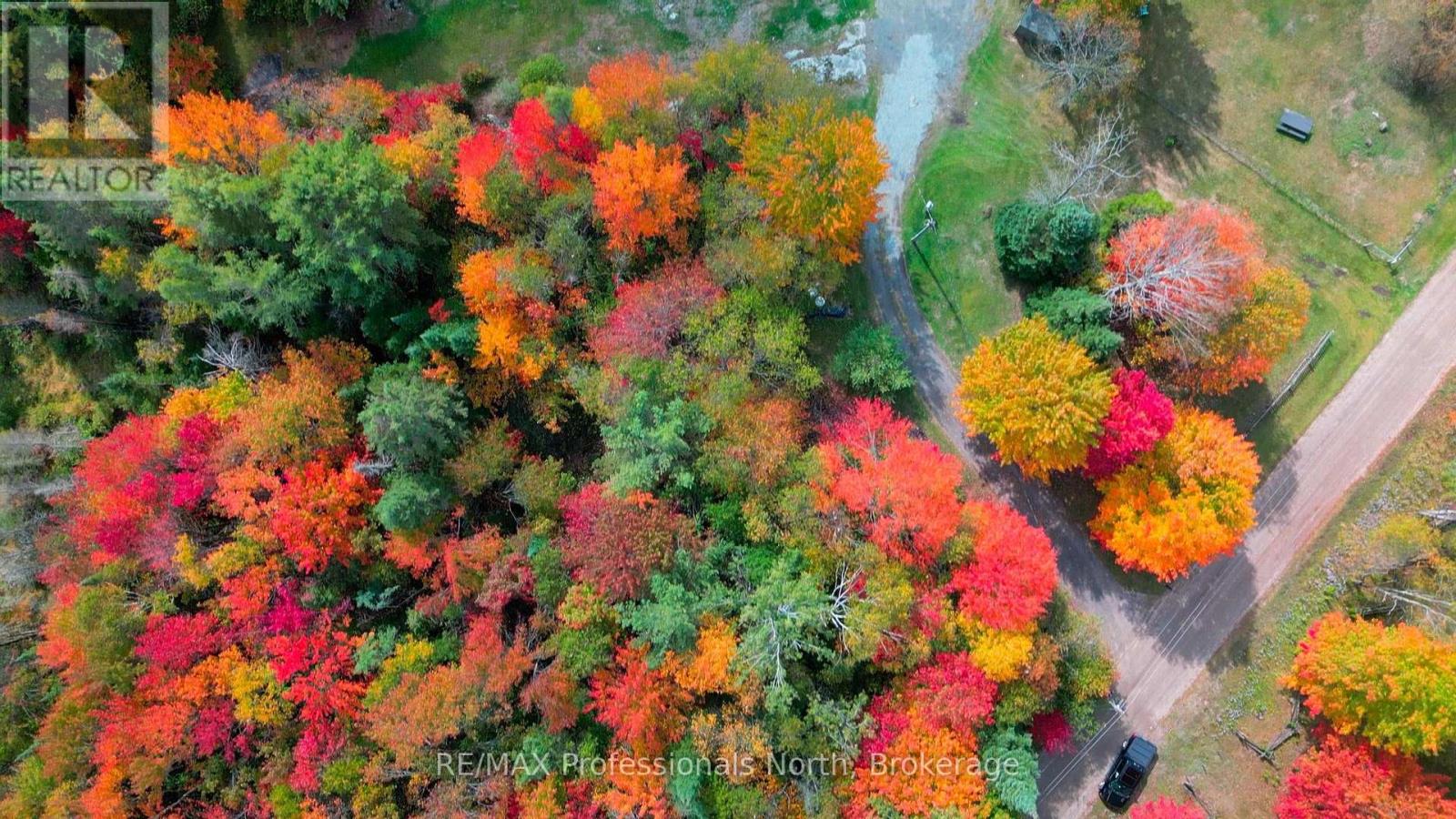 1110 Sedgwick Road, Minden Hills, Ontario  K0M 2K0 - Photo 42 - X12832960