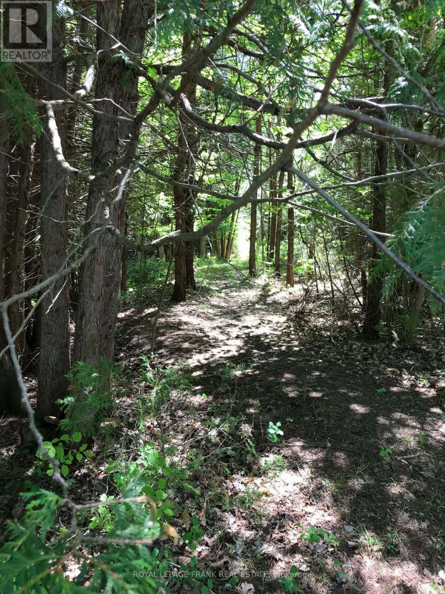 5 Regent Street, Georgina, Ontario  L0E 1N0 - Photo 32 - N12833262