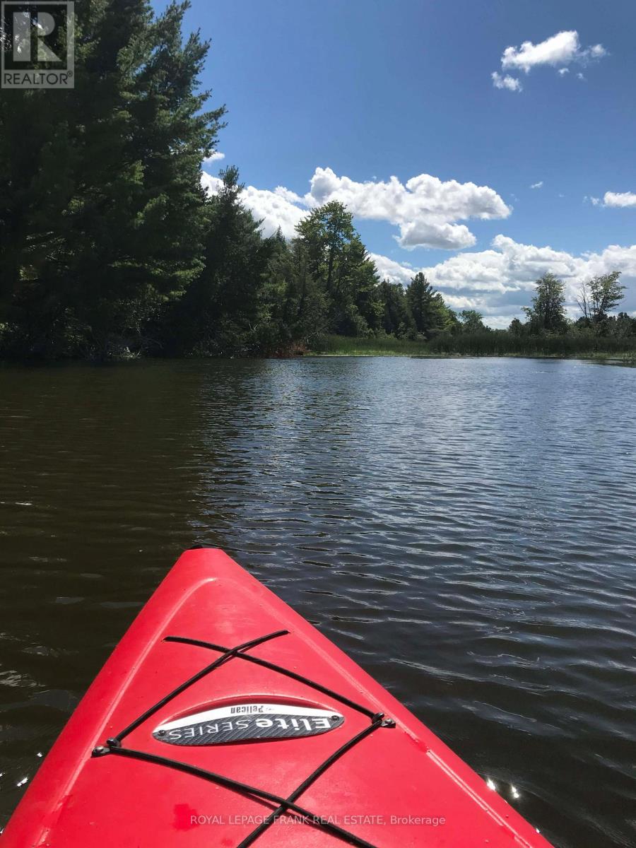 5 Regent Street, Georgina, Ontario  L0E 1N0 - Photo 39 - N12833262