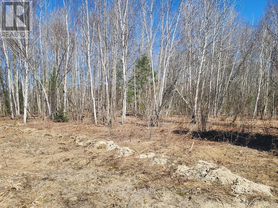 1581 Kinsella Drive, Ottawa, Ontario  K4C 0B2 - Photo 4 - X12833270