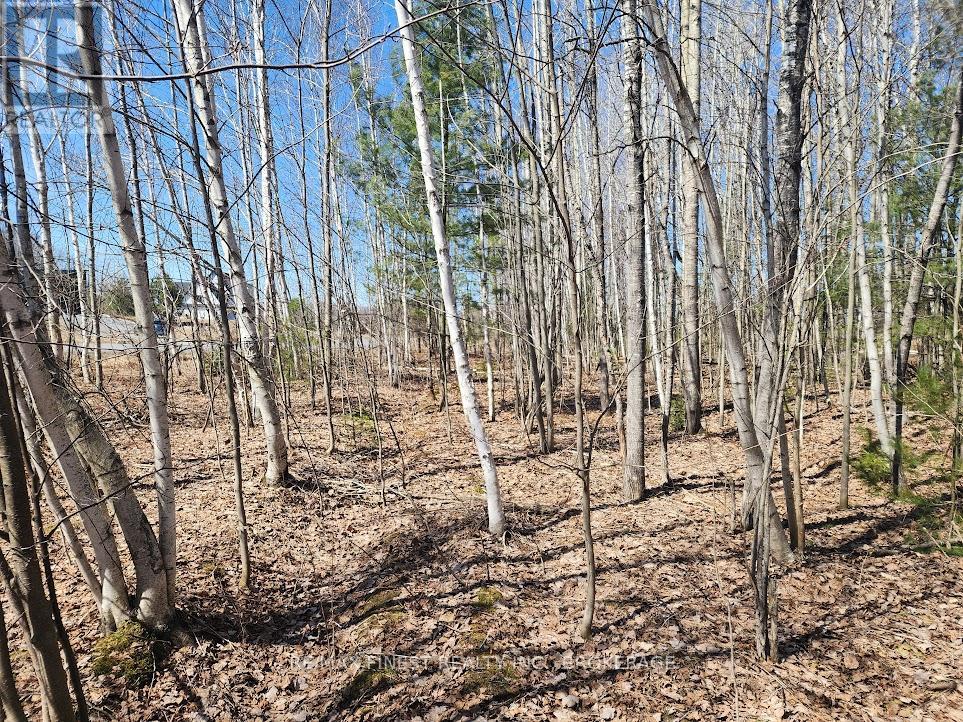 1581 Kinsella Drive, Ottawa, Ontario  K4C 0B2 - Photo 5 - X12833270