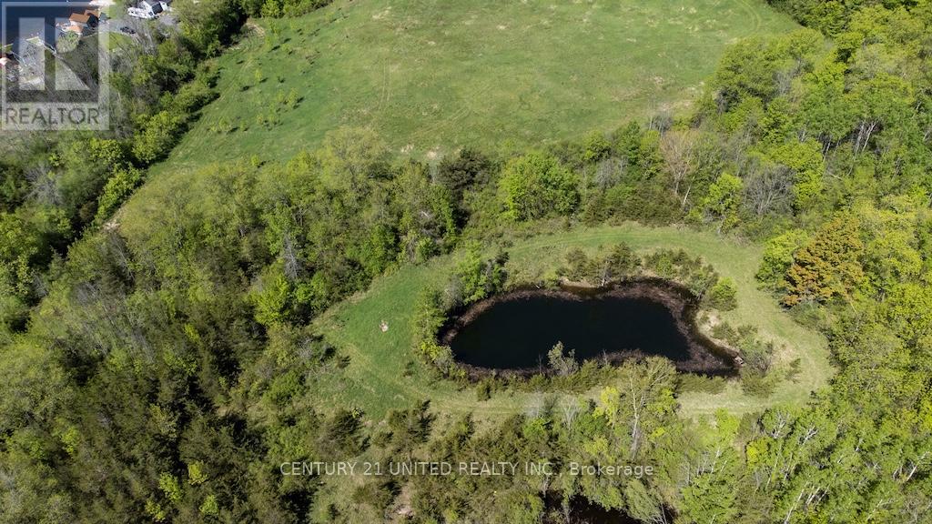 00 Hickory Bay Road, Trent Hills, Ontario  K0L 1L0 - Photo 20 - X12833290