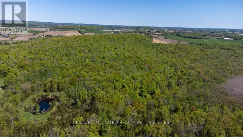 00 Hickory Bay Road, Trent Hills, Ontario  K0L 1L0 - Photo 26 - X12833290