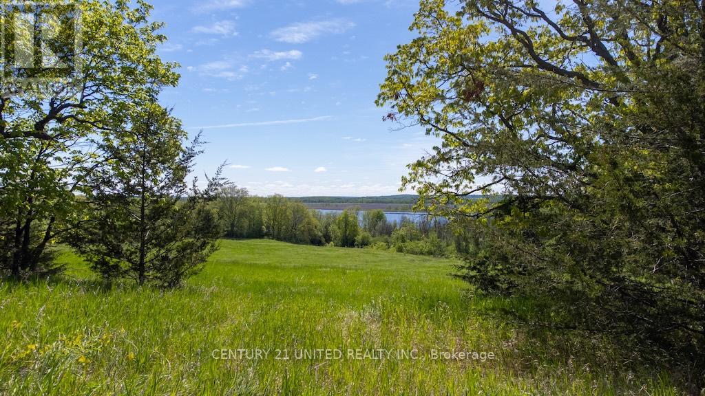 00 Hickory Bay Road, Trent Hills, Ontario  K0L 1L0 - Photo 28 - X12833290