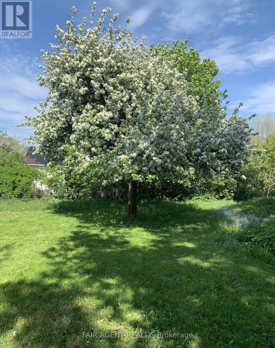 1723 Lucy Street, St. Joseph, Ontario  P0R 1J0 - Photo 22 - X12833088