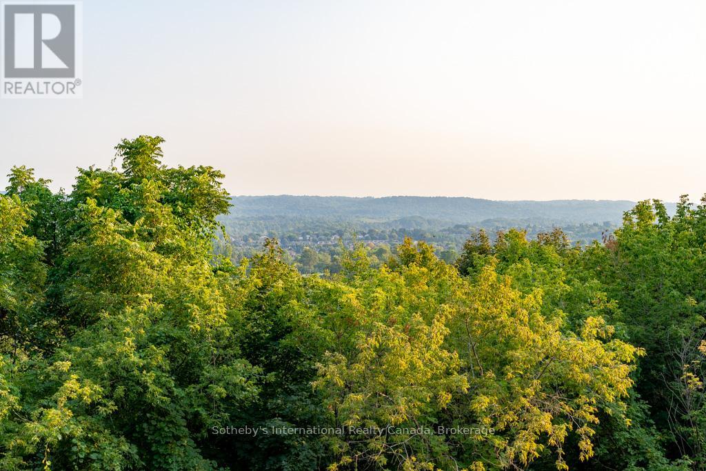 1 Springhill Street, Hamilton, Ontario  L9H 4V2 - Photo 50 - X12832894