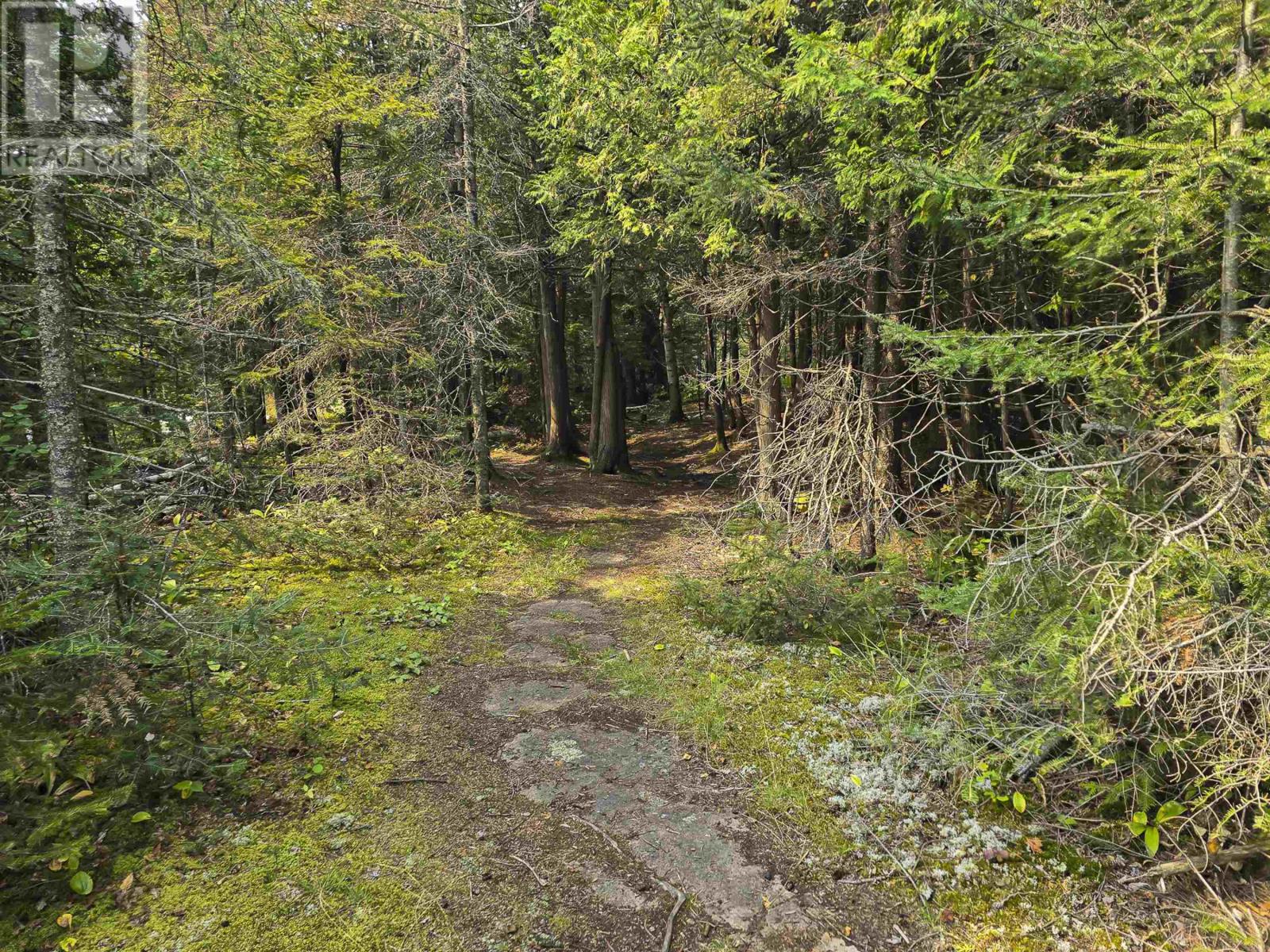 305 500 Toledo St, Thunder Bay, Ontario  P7A 8A6 - Photo 40 - TB2600325