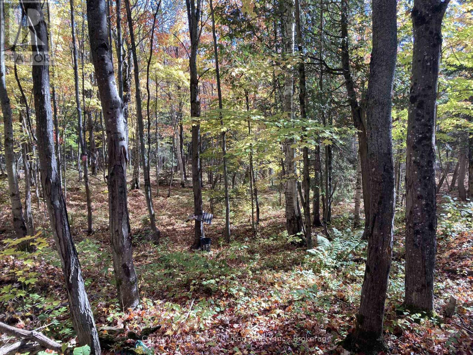 167-179 Lake Nosbonsing Road, Callander, Ontario  P0H 1H0 - Photo 17 - X12833122