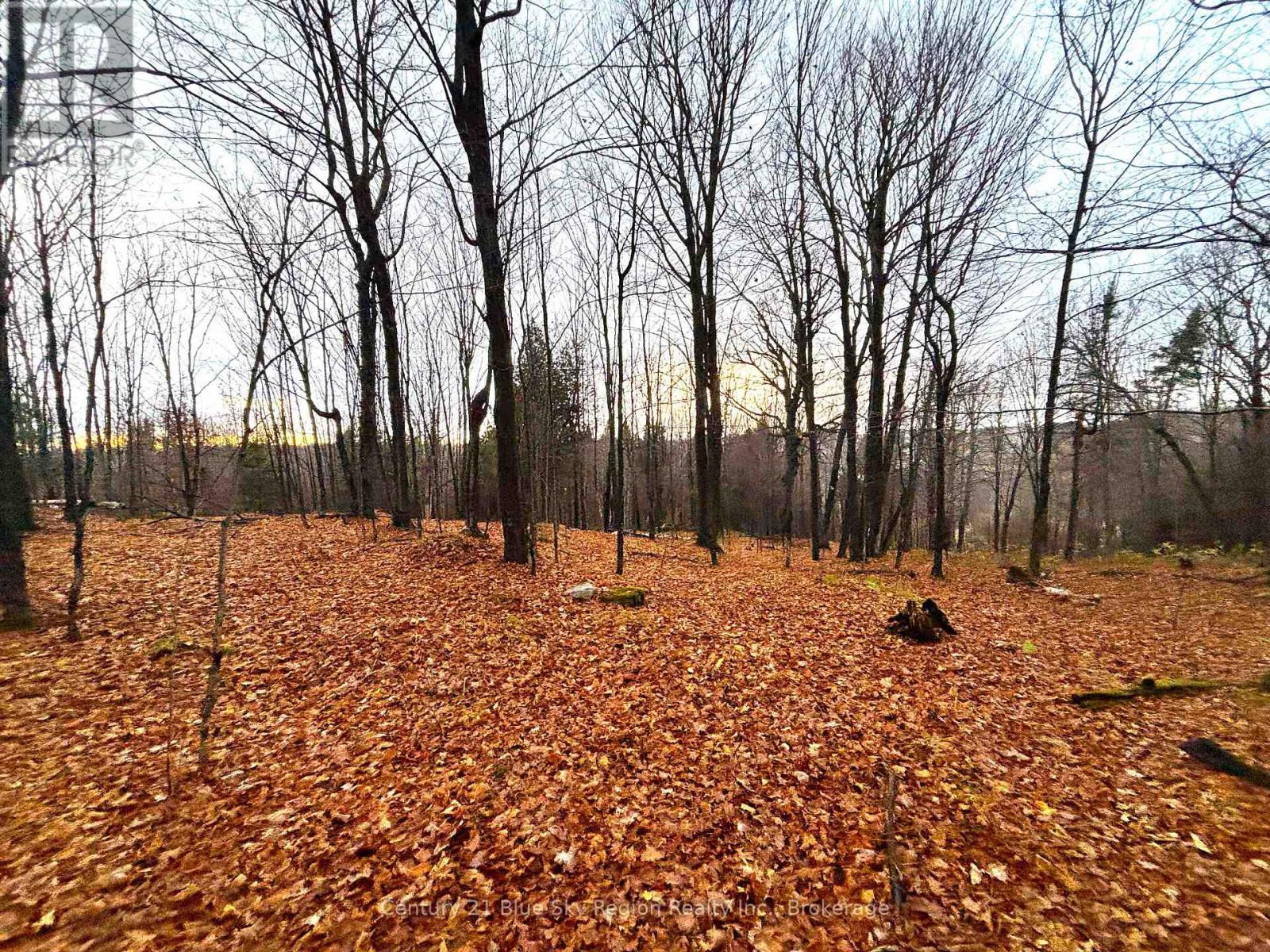 167-179 Lake Nosbonsing Road, Callander, Ontario  P0H 1H0 - Photo 48 - X12833122