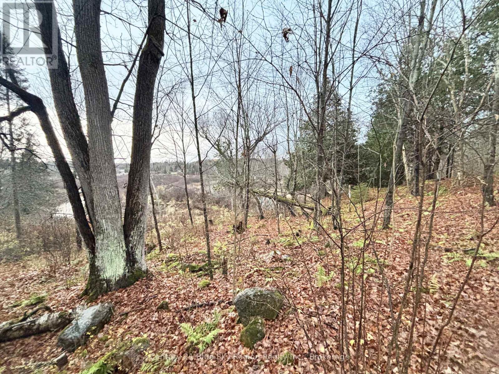 167-179 Lake Nosbonsing Road, Callander, Ontario  P0H 1H0 - Photo 15 - X12833130