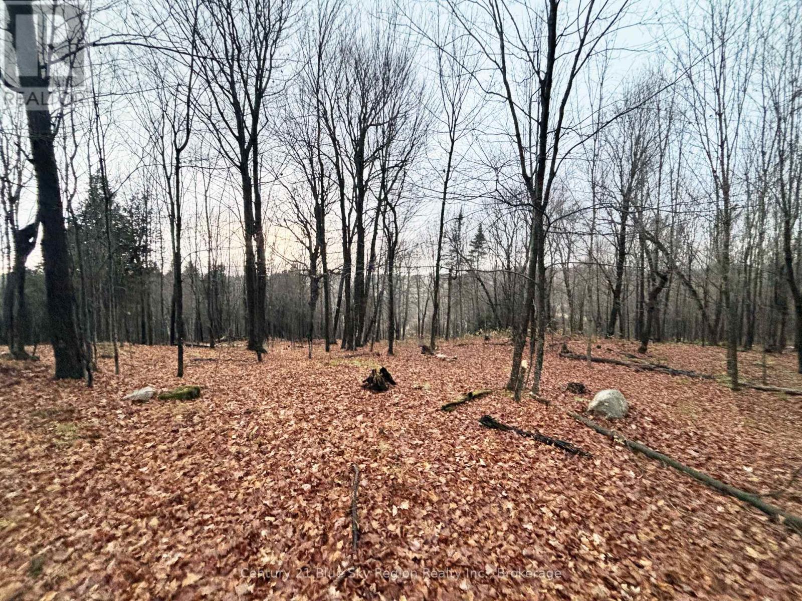 167-179 Lake Nosbonsing Road, Callander, Ontario  P0H 1H0 - Photo 16 - X12833130