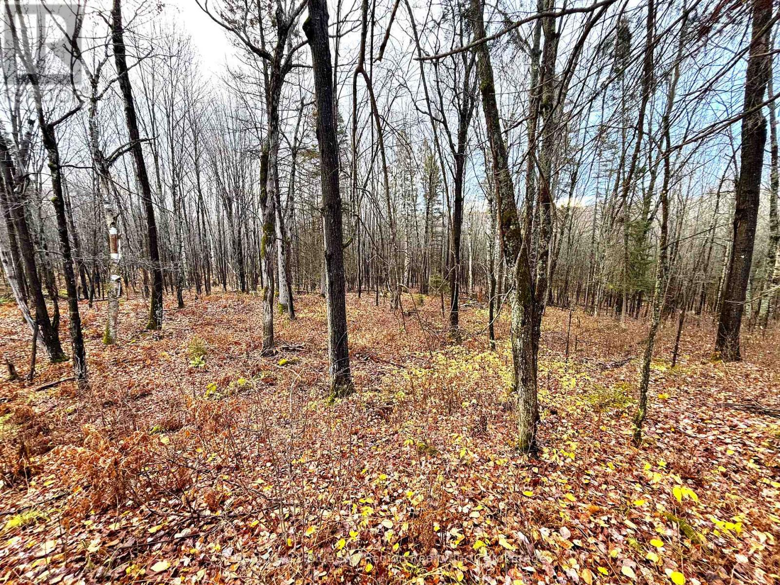 167-179 Lake Nosbonsing Road, Callander, Ontario  P0H 1H0 - Photo 43 - X12833130