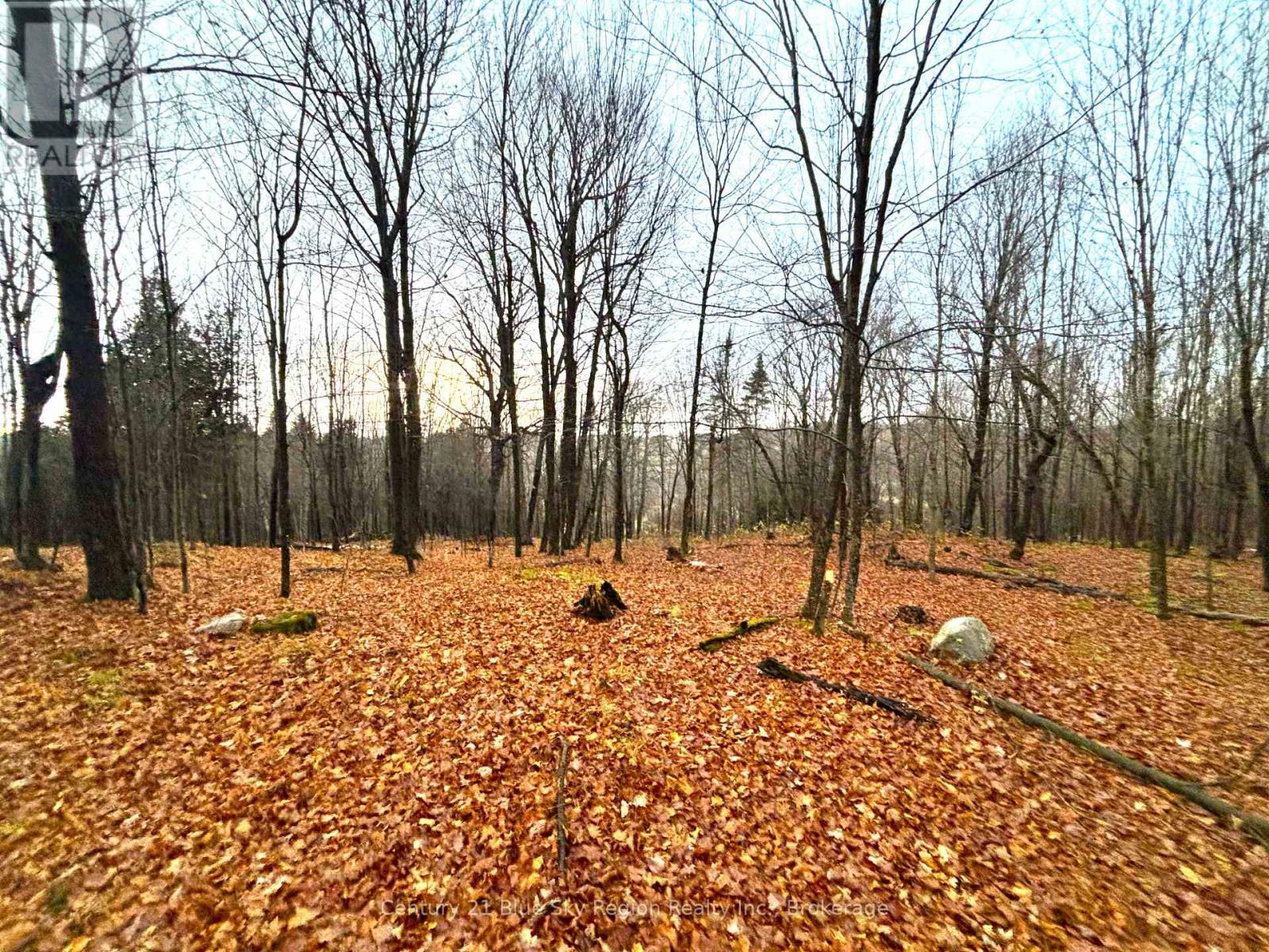 167-179 Lake Nosbonsing Road, Callander, Ontario  P0H 1H0 - Photo 47 - X12833130