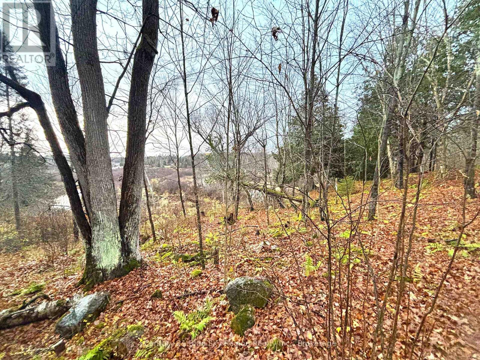 167-179 Lake Nosbonsing Road, Callander, Ontario  P0H 1H0 - Photo 49 - X12833130