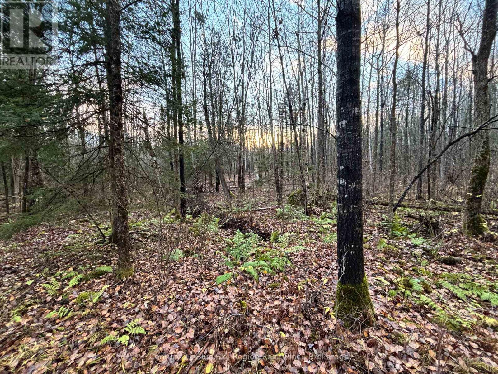 167-179 Lake Nosbonsing Road, Callander, Ontario  P0H 1H0 - Photo 44 - X12833130