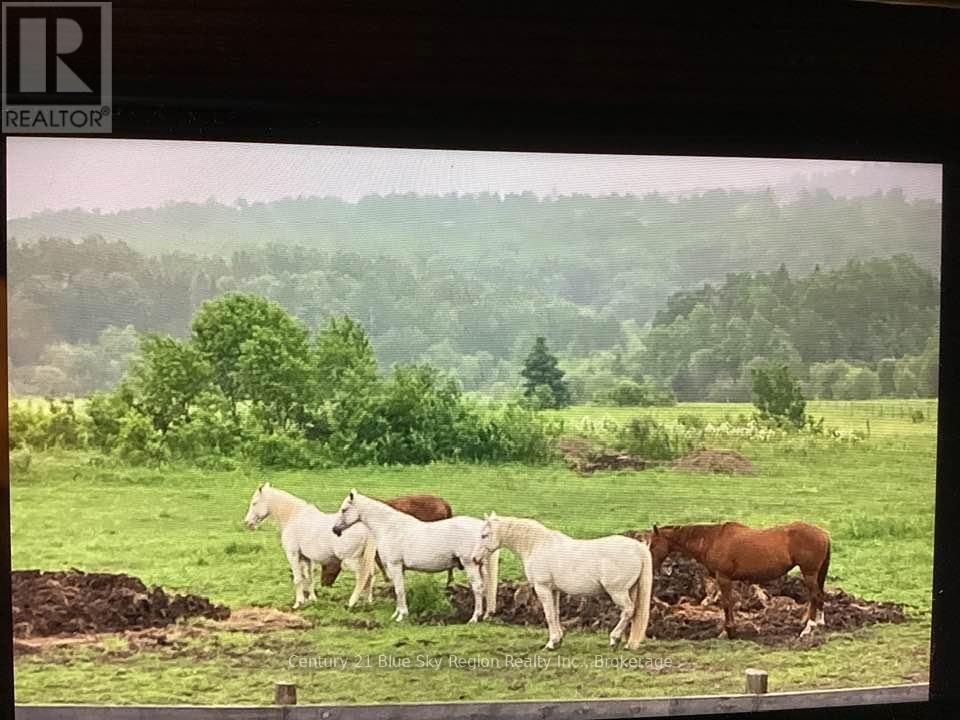 564 Adams Road, Calvin, Ontario  P0H 1V0 - Photo 47 - X12833222