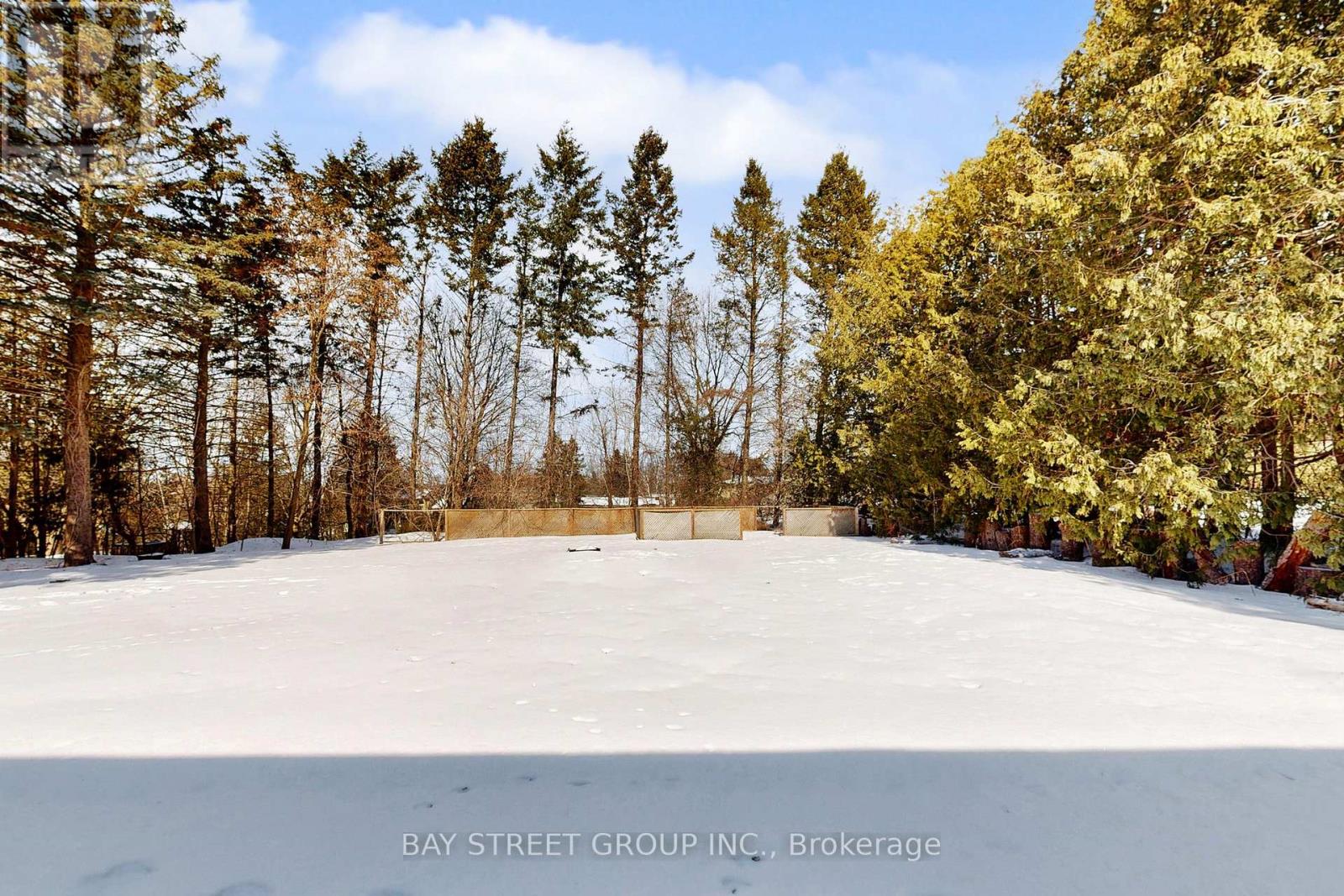 1011 Janette Street, Newmarket, Ontario  L3Y 3C4 - Photo 48 - N12832872