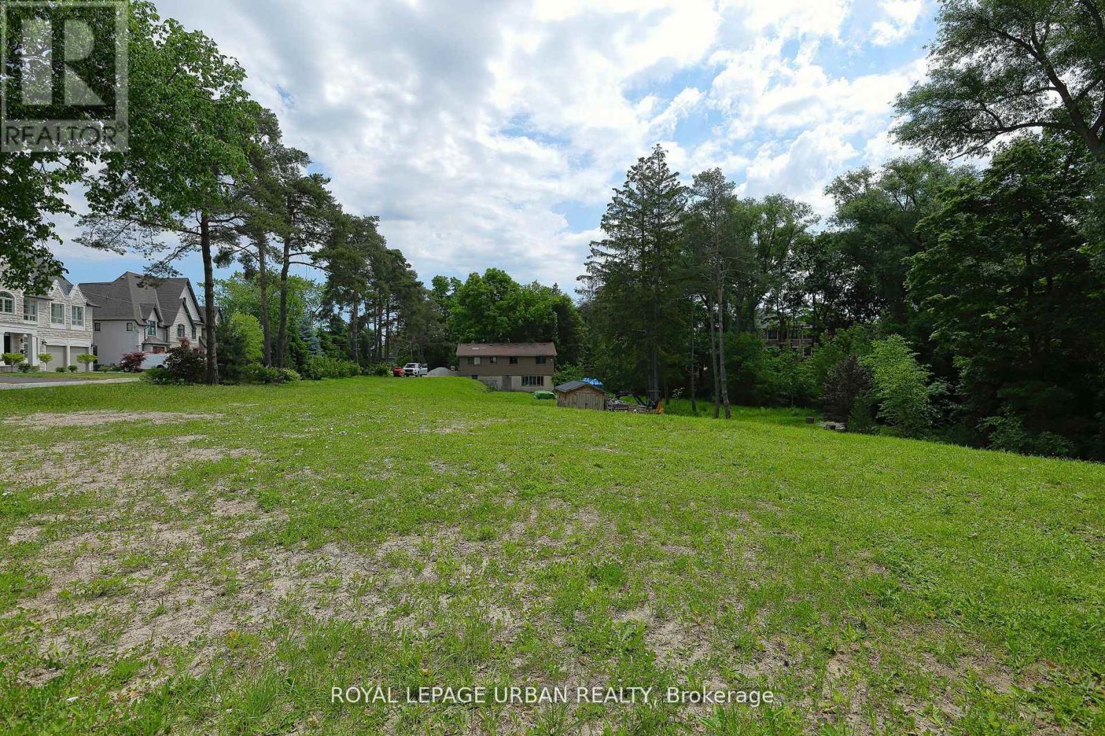 28 Avenue Road, Richmond Hill, Ontario  L4C 6C6 - Photo 5 - N12833174