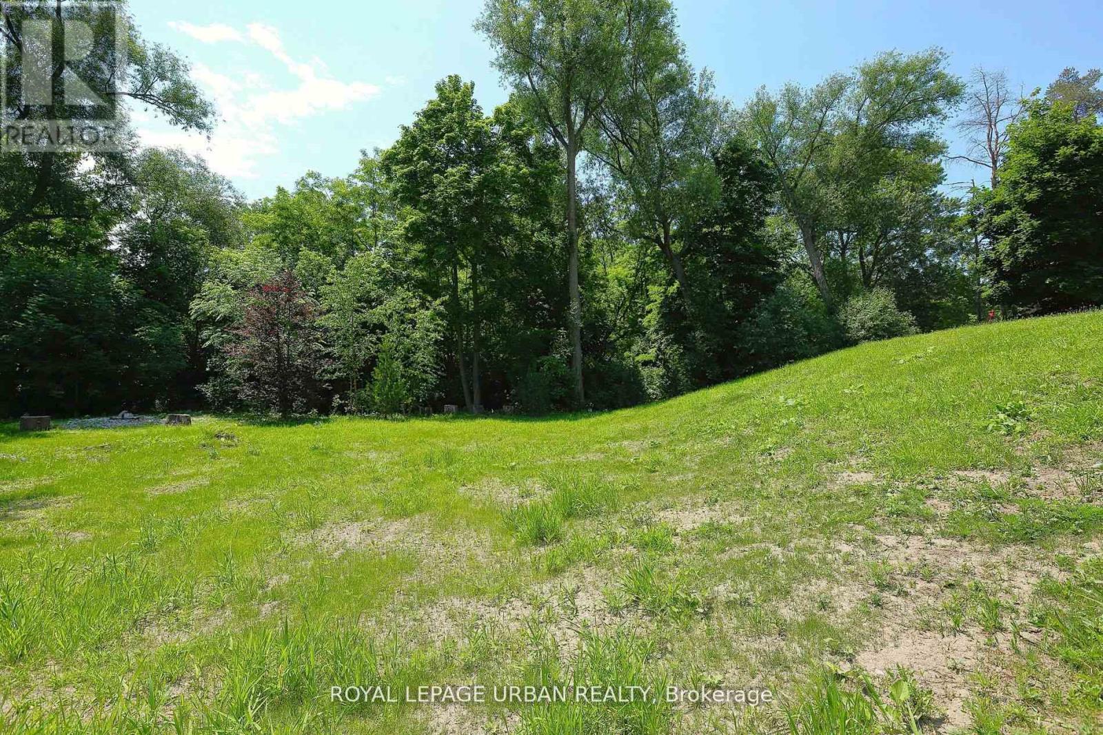 28 Avenue Road, Richmond Hill, Ontario  L4C 6C6 - Photo 6 - N12833174