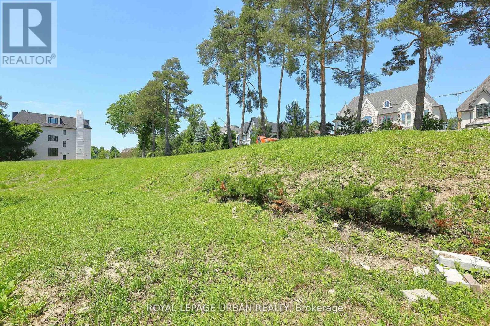 28 Avenue Road, Richmond Hill, Ontario  L4C 6C6 - Photo 7 - N12833174