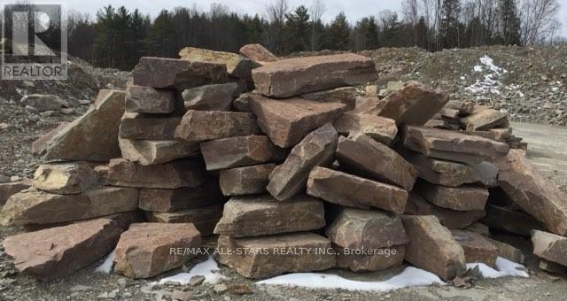 48 Ties Mountain Road, Trent Lakes, Ontario  K0M 1A0 - Photo 3 - X12813090