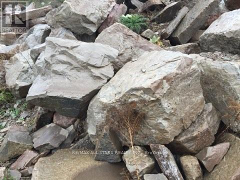 48 Ties Mountain Road, Trent Lakes, Ontario  K0M 1A0 - Photo 11 - X12813090