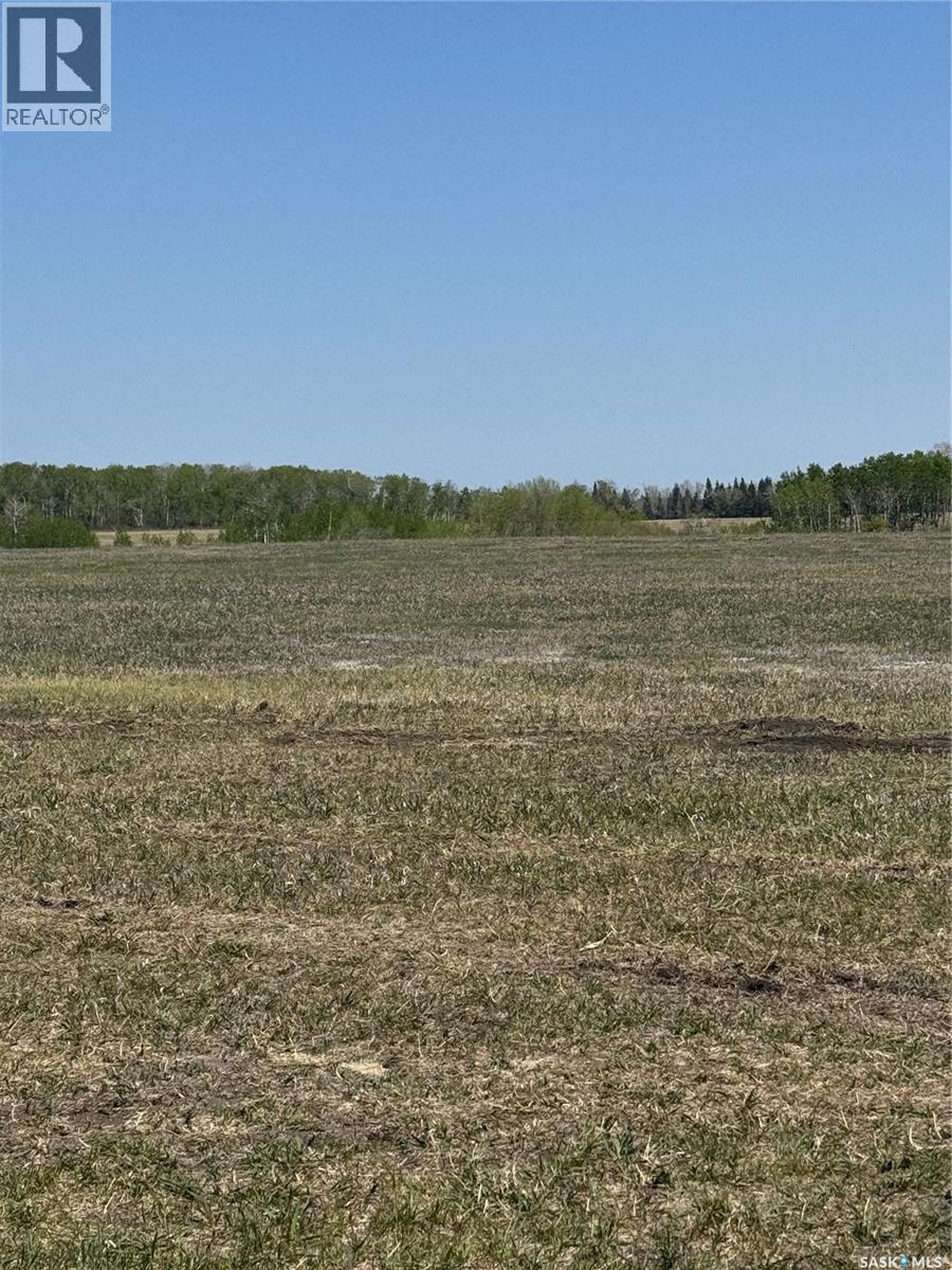14.37 Acres West/north Preeceville, Preeceville Rm No. 334, Saskatchewan  S0A 3B0 - Photo 17 - SK029451