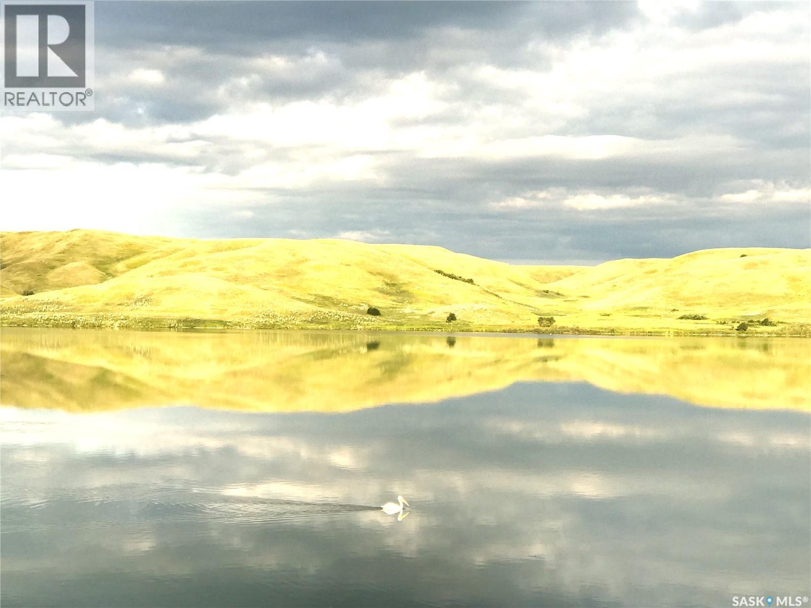 203 Hillcrest Place, Lac Pelletier Rm No. 107, Saskatchewan  S0N 2Y0 - Photo 33 - SK029154