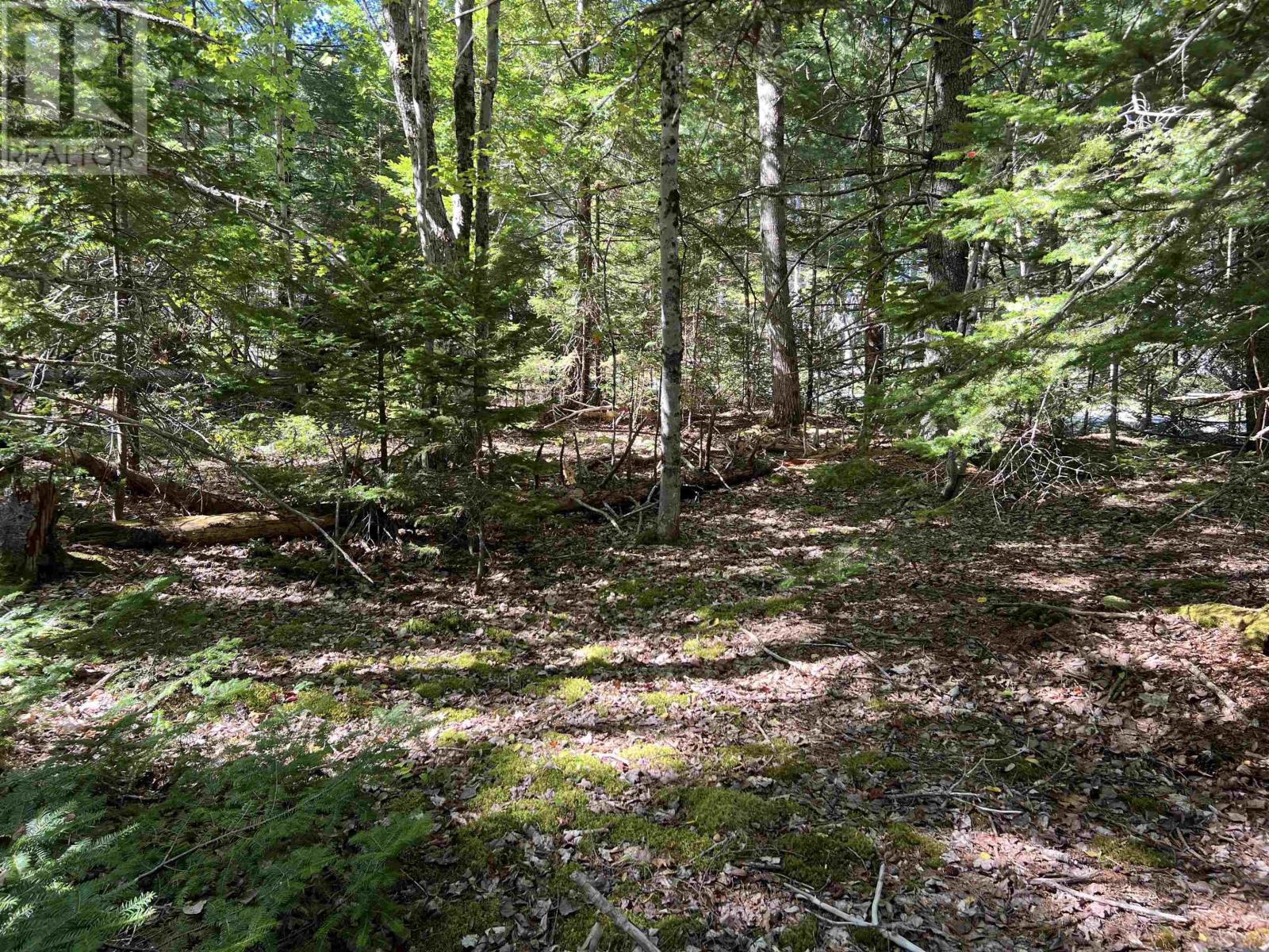 Lot 5 Conquerall Rd, Conquerall Bank, Nova Scotia  B4V 2W3 - Photo 2 - 202603553