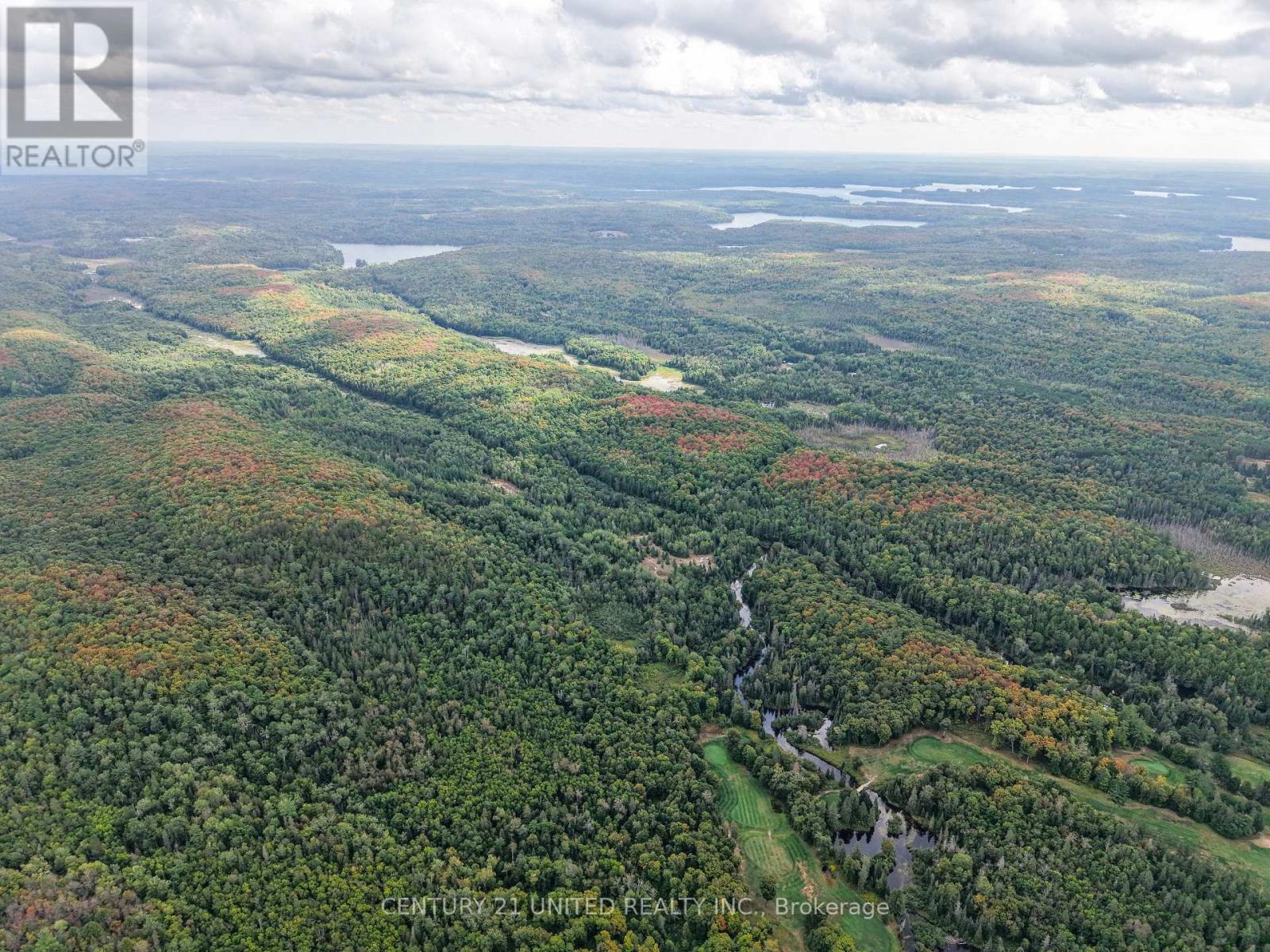 428 Jeff Road, North Kawartha, Ontario  K0L 1C0 - Photo 1 - X12833496