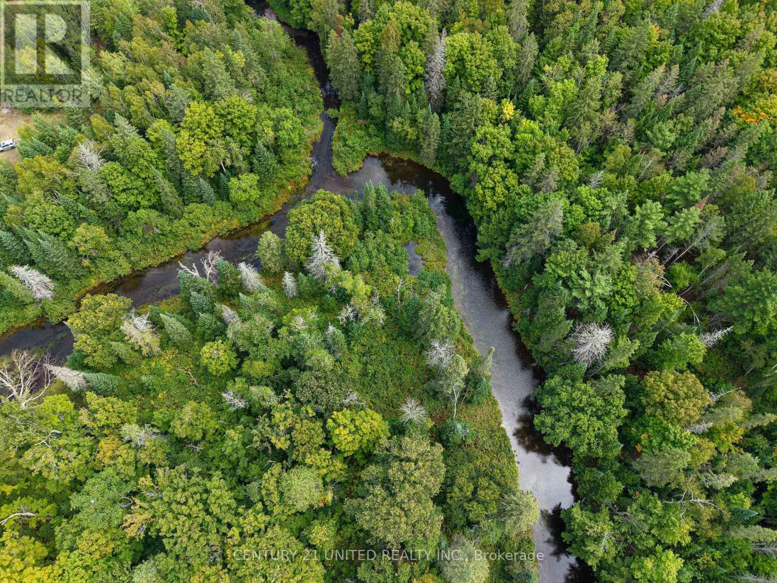 428 Jeff Road, North Kawartha, Ontario  K0L 1C0 - Photo 10 - X12833496