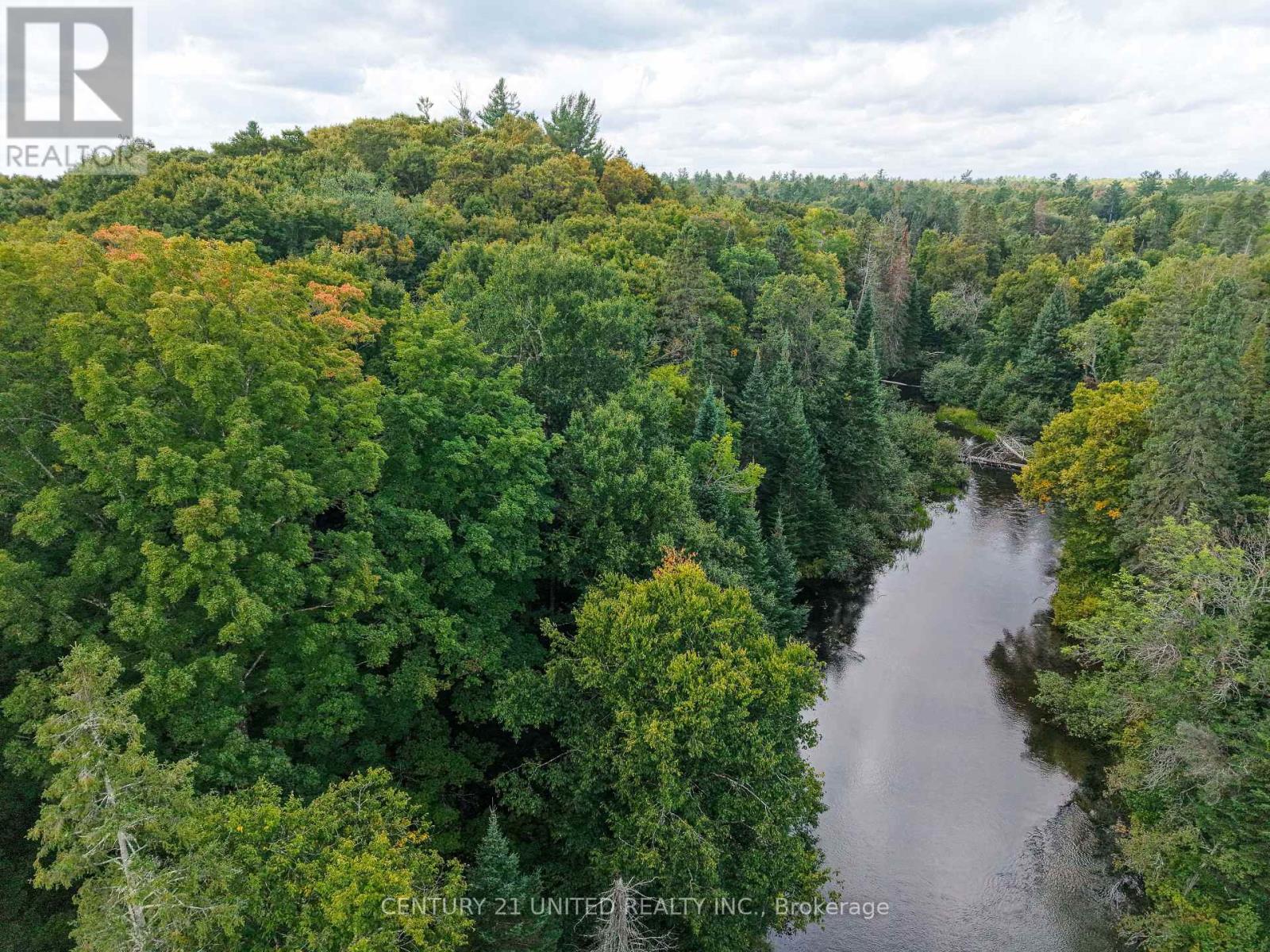 428 Jeff Road, North Kawartha, Ontario  K0L 1C0 - Photo 12 - X12833496