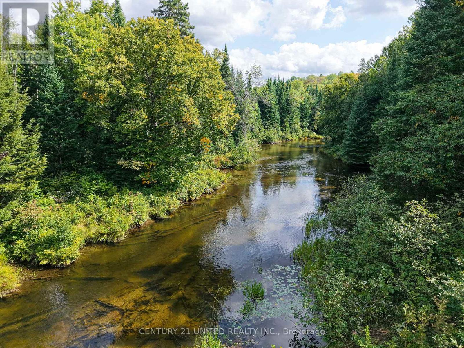 428 Jeff Road, North Kawartha, Ontario  K0L 1C0 - Photo 13 - X12833496